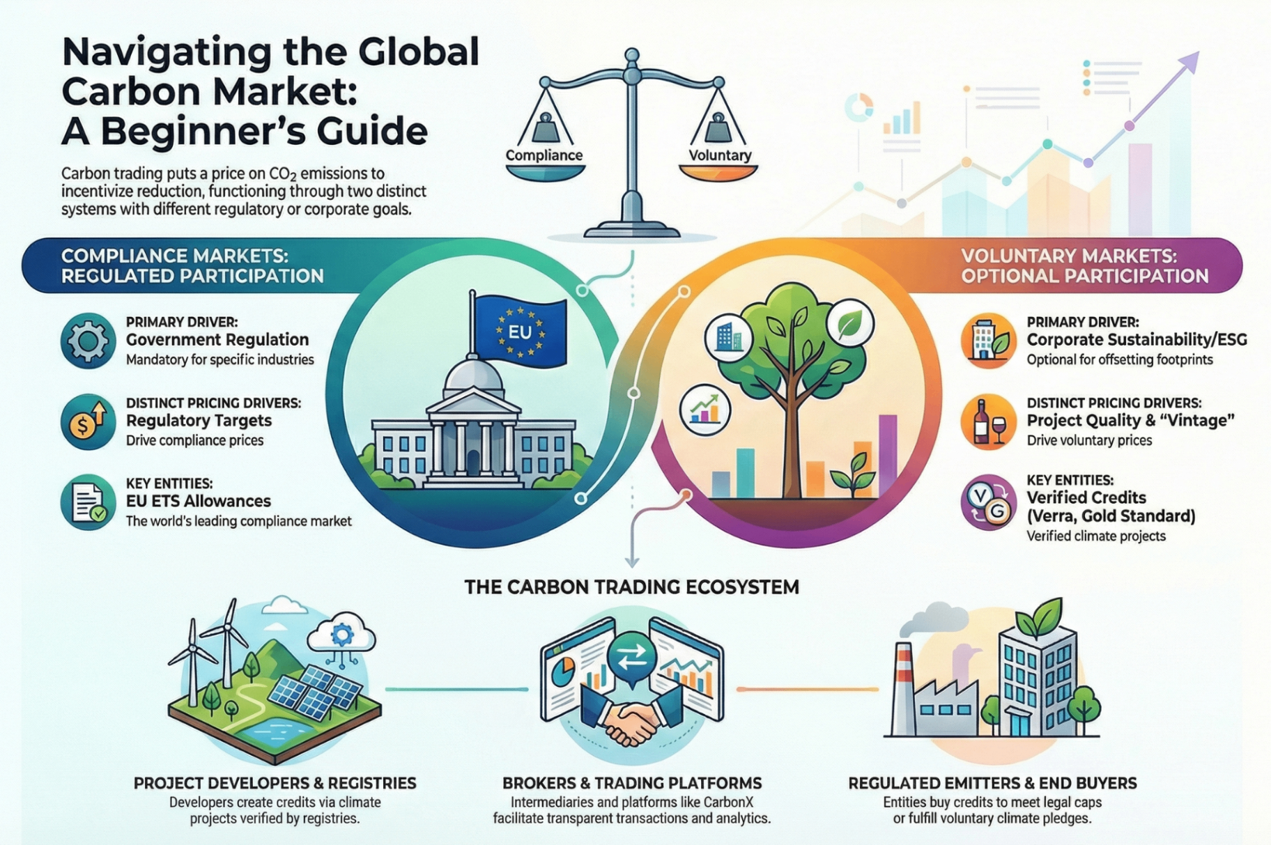 Infographic: Navigating the Global Carbon Market